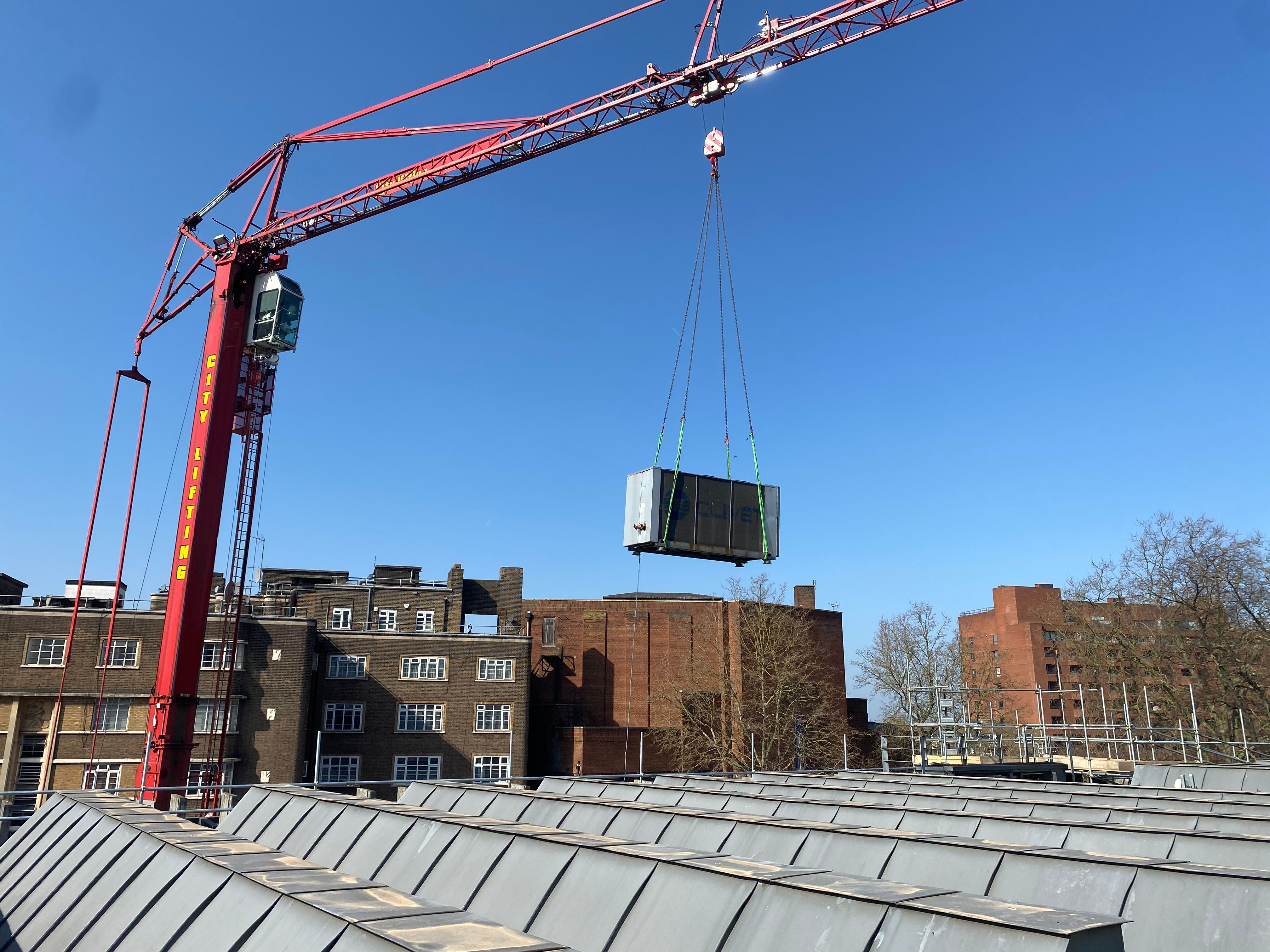 Clear Skies for Swiss Cottage Plant Removal
